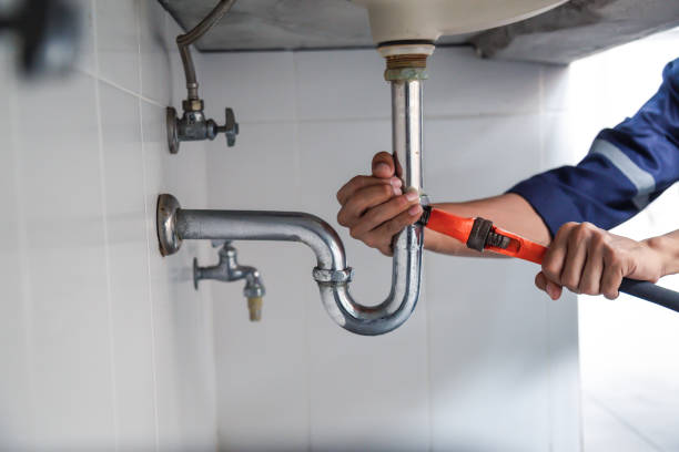 Best Clogged Drain Plumber  in Clton, IN